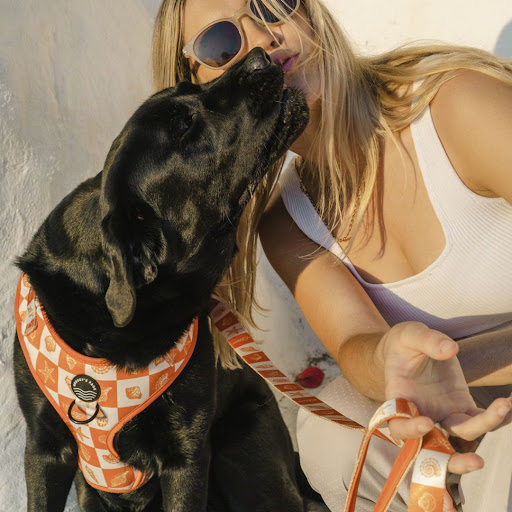 Brucey's Pack - Visual
