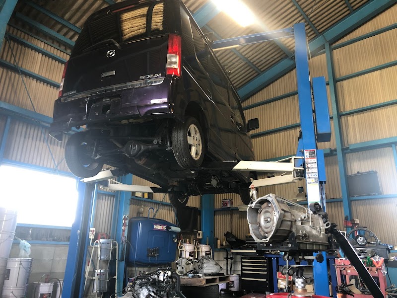 ＡＵＴＯ ＳＥＬＥＣＴＩＯＮ ＤＤＤ