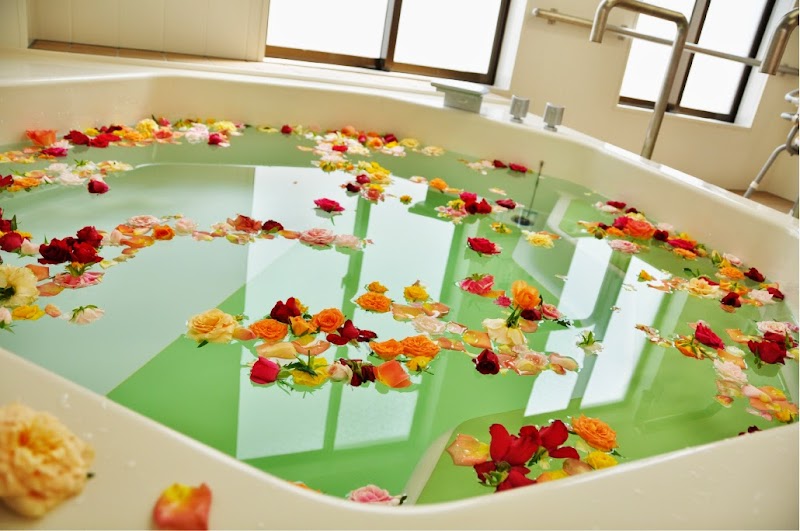 ヒューマンライフケアいま