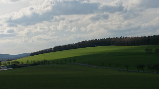 Drachenwiese Kamenz