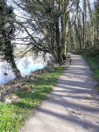 The Taff Trail - Thumbnail