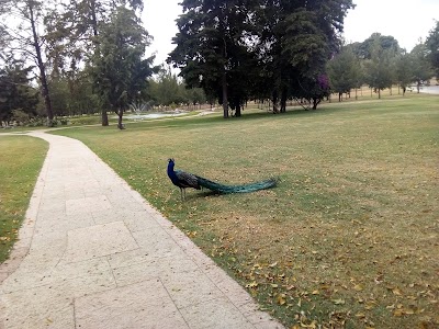 Photos of El Para&iacute;so 1 Ecological Park