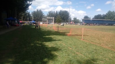 Photos of Estadio Cincuentenario