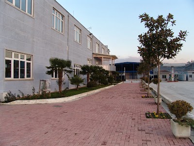 Photos of ALBA-TRANS Agency