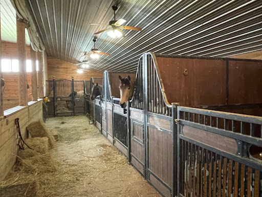 S&W QUARTER HORSES Gallery - United States