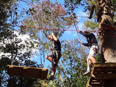 Daytona Beach Zipline Adventure By TreeTop Trekking