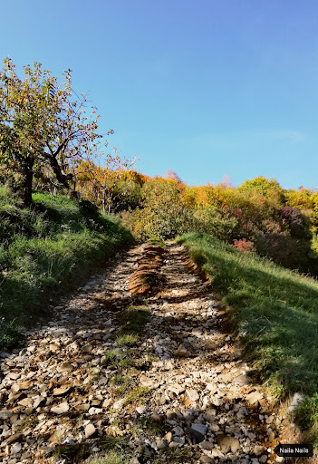 Sentiero per la Pala Eolica del Monte Pecora - Thumbnail