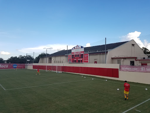 Moccasin Field - Visual
