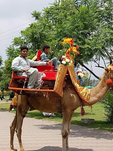 Rawal Lake islamabad