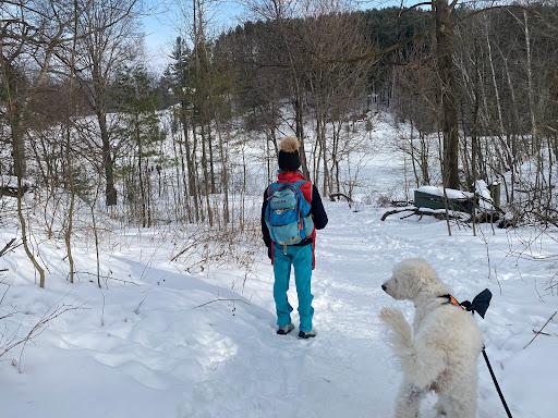 Petoskey Winter Sports Park - Thumbnail