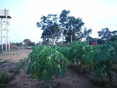 Photos of Farm - Faculty of Agriculture