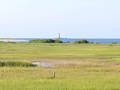 New Point Comfort Natural Area Preserve