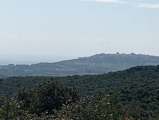 Radura Gioale - Visual