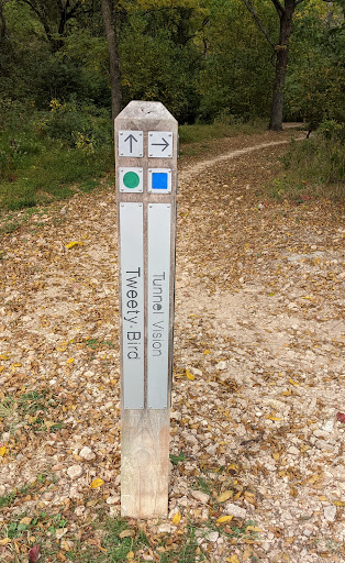 Little Sugar Trails Parking - Tweety Bird - Thumbnail