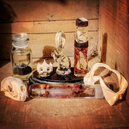 Abby Normal’s Museum of the Strange Gallery - United States