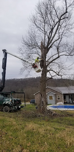 All Terrain Tree Service