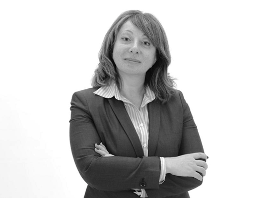 The Law Office of Svetlana Kats