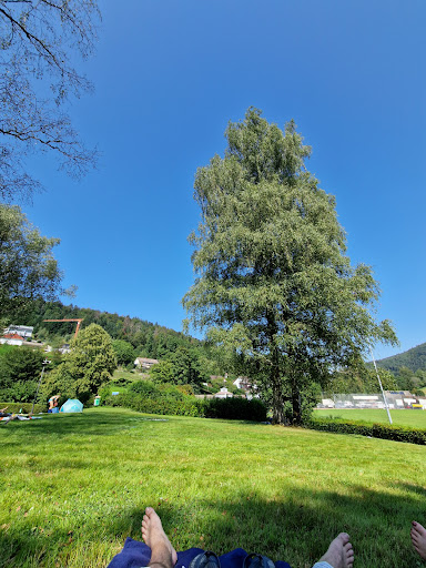Waldfreibad Bad Herrenalb - Thumbnail