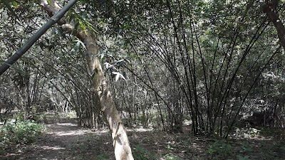 Photos of Faridpur Ta Bazar