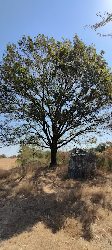 Couëbrac menhir - Thumbnail