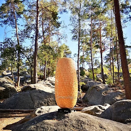 Photo n°8 de TIME IS LIGHT à Vert-le-Petit (Magasin de vêtements)