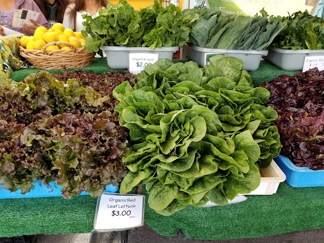 Hillcrest Farmers Market