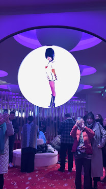 Crazy Horse Paris by null