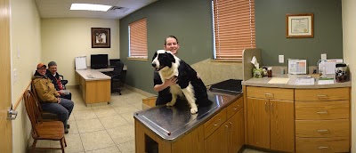 Sunnyside Veterinary Clinic