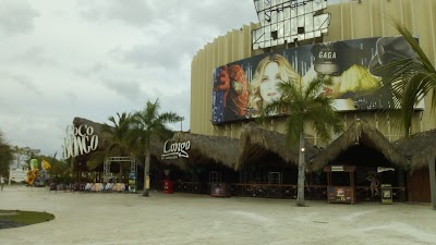 Photos of Coco Bongo Punta Cana