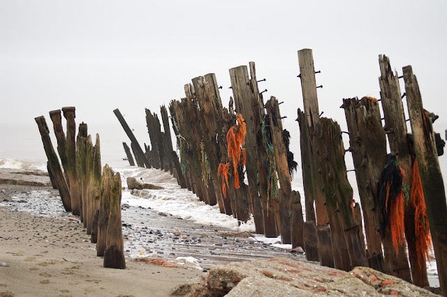 Spurn National Nature Reserve