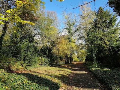Photos of Friedenskirche Jena