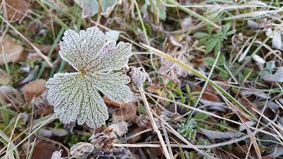 Photos of H&oslash;gkj&oslash;len Fjellcamp