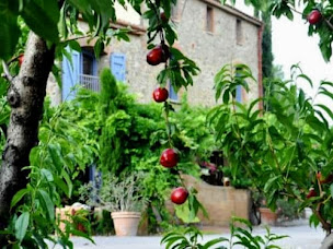 Photo n°13 de Mas la Mouillère à Camélas (Chambre d'hôtes)