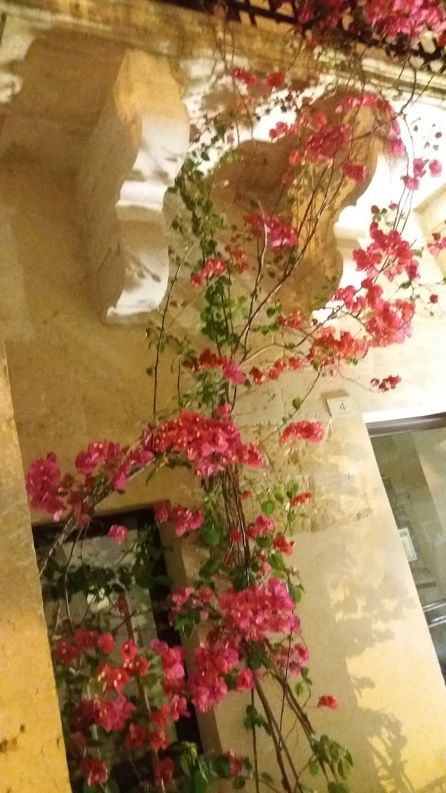 Maglio Cioccolato - Show Room Maglie