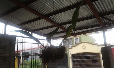 Photos of 4 Residencial VILLAS BOULEVARD Park