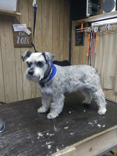 Breezy's Grooming Salon - Thumbnail