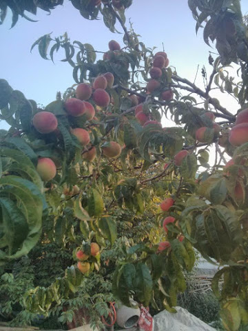 Oselya Eco hotel in Kyiv by null