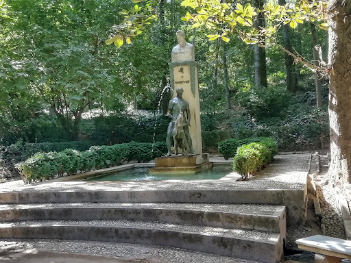 Alhambra Forest - Visual
