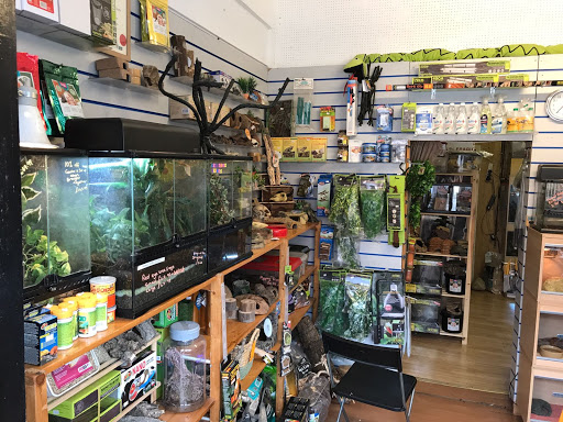 Kettering Reptiles - Thumbnail