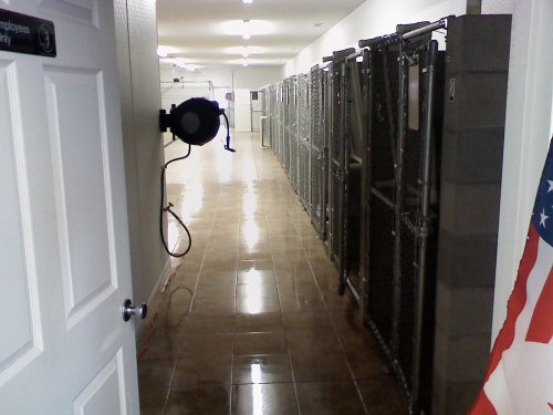 Bed Bath & Biscuit Pet Resort - Thumbnail