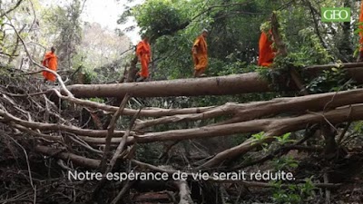 Photos of ព្រៃសង្ឃសហគមន៍រុក្ខាវ័ន (Monk's Community Forestry)