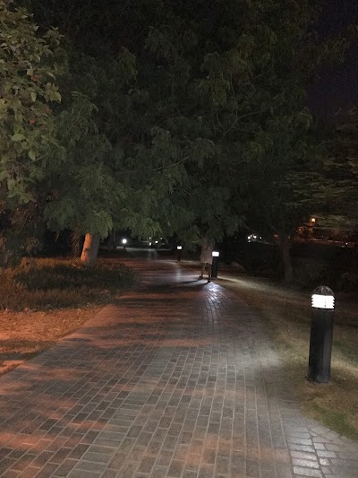 Photos of Community Park