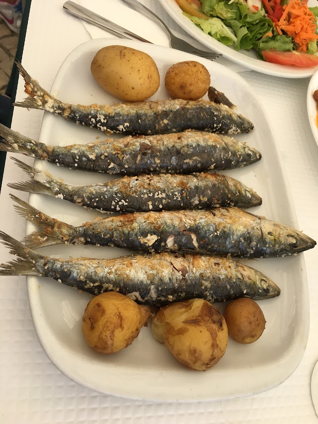 O Carvoeiro