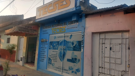 TECSES SEGURIDAD ELECTRONICA MATRIZ Gallery - Mexico