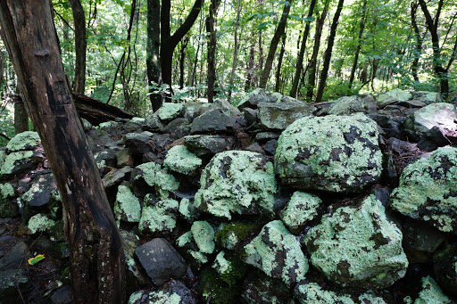 Fox Hollow Trailhead Gallery - United States