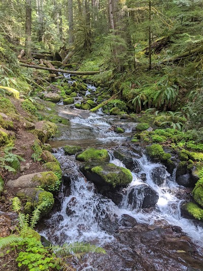 Parker Creek Falls