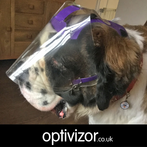 Optivizor.co.uk - Visual