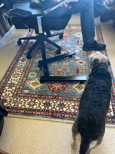 Hughes Rugs - Shop