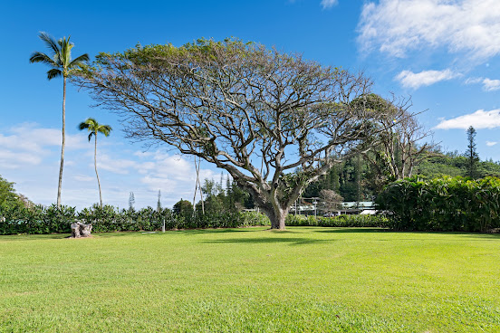 Hana-Maui Resort, a Destination by Hyatt Hotel by null
