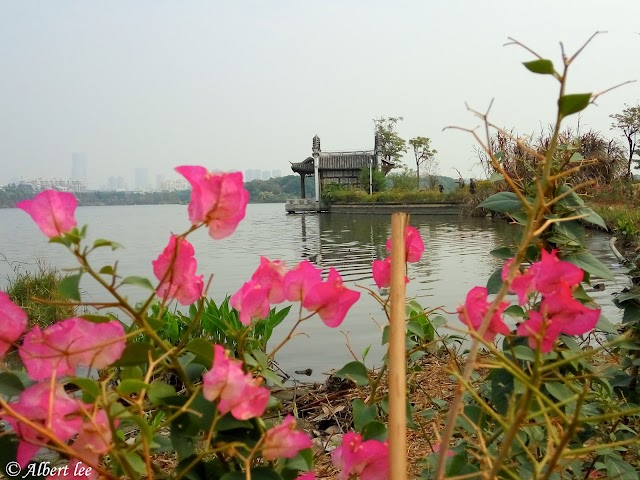 Guangdong Haizhu National Wetland Park
